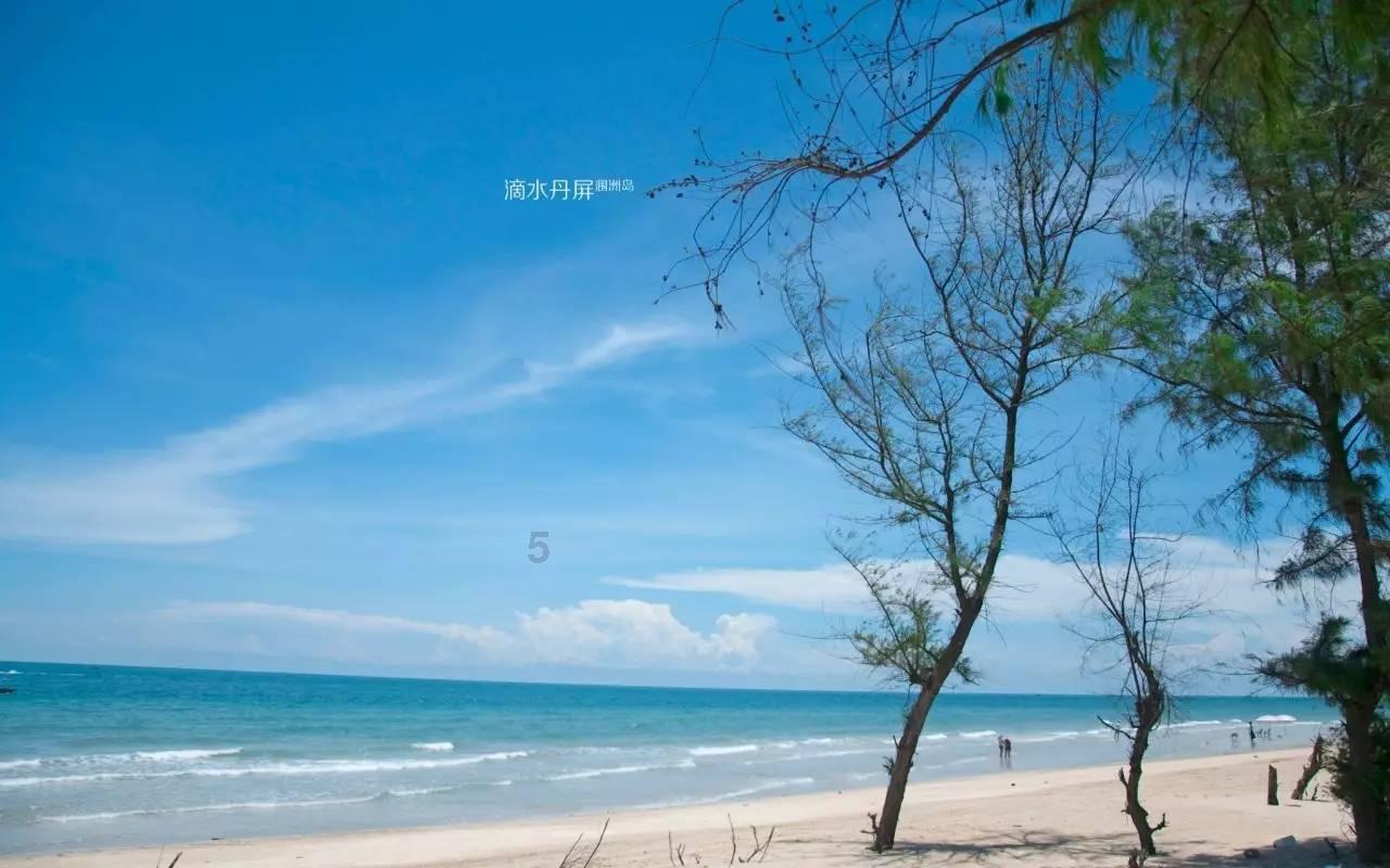 阿姨准备查手机账单电信网上营业厅怎么查询历史账单，哈有人推荐下方法？游戏画面